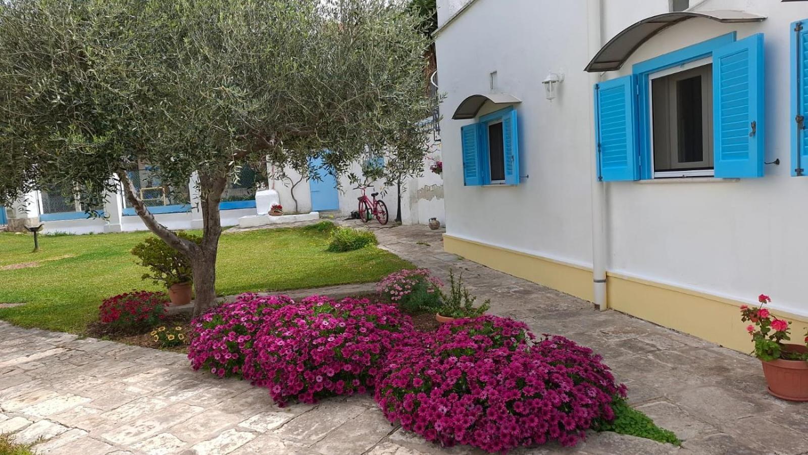 Bed and Breakfast Villino Tronchetto Bianco Мола-ді-Барі Екстер'єр фото